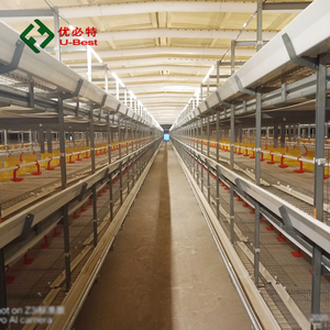 Jaulas para Pollos Totalmente Automáticas Tipo <span class=keywords><strong>A</strong></span> y Tipo H para Crí<span class=keywords><strong>a</strong></span> de Aves de Corral y Producción de Huevos - Product Image 2