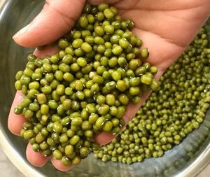 Venta al por mayor de frijoles mung verdes de alta calidad, sin piel y congelados - Product Image 6
