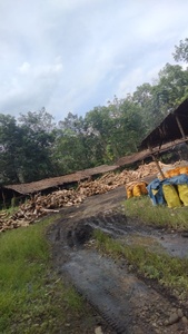 ถ่านฮาลาบันสำหรับเตาย่างบาร์บีคิวเป็นมิตรต่อสิ่งแวดล้อมไร้ควันเวลาการเผาไหม้นานจากอินโดนีเซีย - Product Image 3