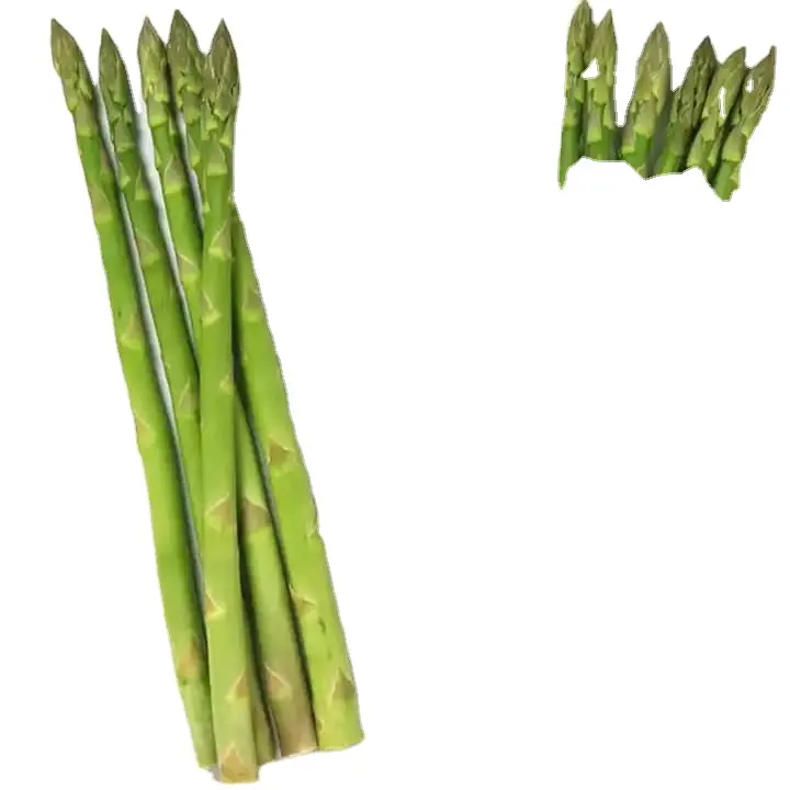 Scatola di imballaggio in plastica per asparagi vegetali/zenzero/<span class=keywords><strong>Taro</strong></span>/gombo PP