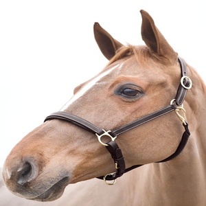 Harnais pour cheval personnalisé en cuir noir et brun Havana, double couture, rembourrage extra confortable, avec ferrures en laiton massif - Product Image 5