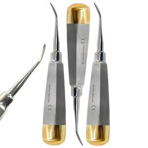 Élévateur dentaire pour racines - Élévateur dentaire à poignée creuse, extrémité dorée - Élévateur dentaire oral luxateur (3 pièces) - Product Image 1