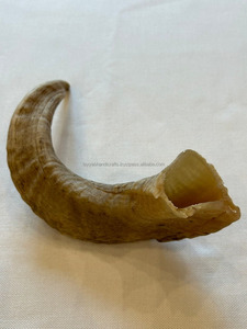 Cuernos de oveja de alta calidad 100% Cuernos de shofar Acabado natural a precios baratos por Indian Manufacturing Company - Product Image 5