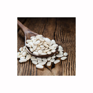 Venta al por mayor de frijoles blancos: Precio de fábrica, frijoles blancos de forma alargada - Product Image 6