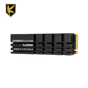 AITC KINGSMAN SSD PCIe Gen 5 1TB พร้อม DRAM Cache สำหรับพีซีเล่นเกม - Product Image 1
