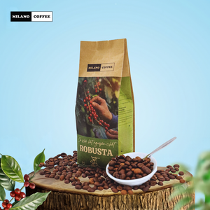 Granos de Café Robusta Puro de Vietnam Milano Premium, 250 g, Tueste Ligero, Aroma Intenso, Sabor Intenso, Venta al por Mayor, OEM, ODM, Personalizable - Product Image 4