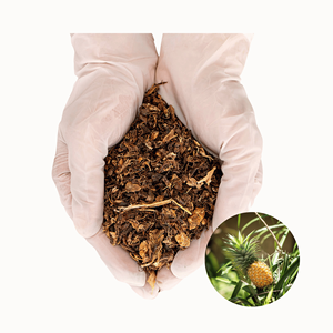 Oferta Especial: Piel de Piña Seca de Primera Calidad, Precio Económico, Directo de Fábrica en Vietnam, Ingredientes para Alimentación, Disponible en Empaques a Granel - Product Image 1