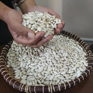 Frijoles Blancos Premium de Alta Calidad, Crudos y Secos, 100% Secos, El Ekhlas Co, de Egipto - Product Image 6