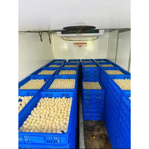 Litchis surgelés IQF de qualité supérieure, sans sucre ajouté, fruit tropical sucré, emballés sous vide, vente en gros, approvisionnement commercial pour l'exportation - Product Image 1