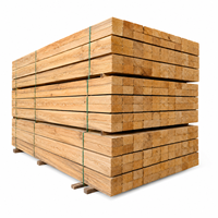 Les planches de bois robustes offrent des performances cohérentes pour les projets de construction, la fabrication de meubles et le travail du bois professionnel.