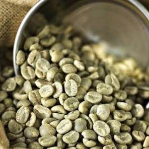 Wholesale Bulk Vietnam Robusta <b>Green</b> <b>Coffee</b> Beans Natural Unroasted Seeds OEM ODM Export Grade 12% Moisture Pham Dinh Brand - Product Image 5