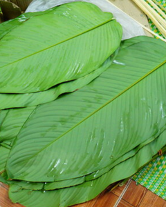 Hojas de Dong Congeladas de Calidad de Exportación, Origen Vietnam - Product Image 2