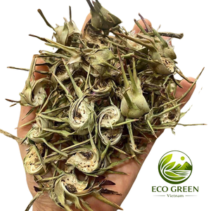 Flor de Alcachofa Seca Fresca de Vietnam ECO GREEN VIETNAM HO CHI MINH, VIETNAM 100% Alcachofa. Lugar fresco y seco. Té de Alcachofa Seca. - Product Image 4