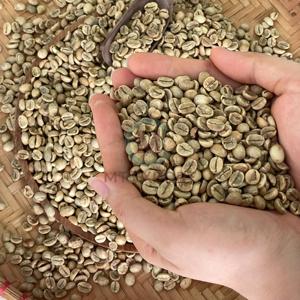 Grains de café en gros pour l'exportation, taille 16, pureté 100%, traitement à sec, durée de conservation 24 mois, qualité pour torréfaction et préparation de boissons - Product Image 3