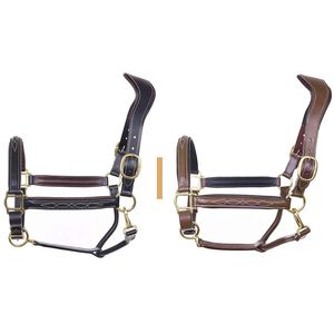 Cabestro de Cuero Genuino Premium para Caballo con Cabezal Acolchado, Costuras Decorativas, Herrajes de Latón Ajustables, Cabestro Ecuestre Duradero - Product Image 5