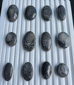 Hermoso Coral Fósil Negro 100% Natural, Cabujón de Piedra Preciosa Suelta, Excelente Accesorio de Joyería para la Fabricación de Colgantes y Anillos - Product Image 1