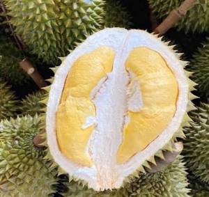 Usine professionnelle de durian surgelé, durian vietnamien surgelé IQF de qualité supérieure, service OEM ODM - Product Image 6