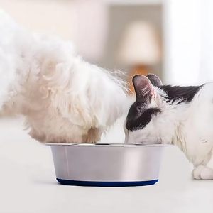 Bols pour animaux de compagnie modernes avec base antidérapante, couleur or et argent, 345 ml, métal durable pour chiens et chats, nourriture/eau - Product Image 3