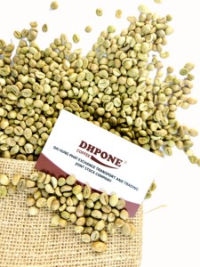 Café Robusta Verde de Baja Humedad S16 Origen Limpio Gia Lai Vietnam - Product Image 2