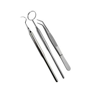 Kit de Examen Dental en Oferta, Juego de 4 Instrumentos de Diagnóstico de Acero Inoxidable, Juego de Herramientas Dentales Profesionales - Product Image 1