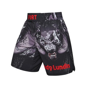 Shorts MMA pour hommes, imprimés, taille élastique, entraînement en salle de sport, kickboxing, légers, séchage rapide, colorés, haut de gamme pour hommes, arts martiaux - Product Image 1