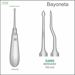 Elevador Dental Bein de 3.0mm para Extracción de Dientes, Luxación Periodontal, Acero Inoxidable 420, Autoclavable, Reutilizable, Herramienta Quirúrgica - Product Image 3