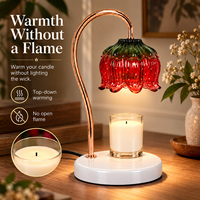 Diffuseur de cire sans flamme, motif floral rouge et vert, avec variateur d'intensité, emballage cadeau personnalisé
