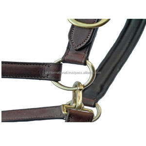 Cabestro de cuero de alta calidad con diseño de caballo hecho a mano, ajustable, con acabado de latón sólido, hebilla y anillos - Product Image 5