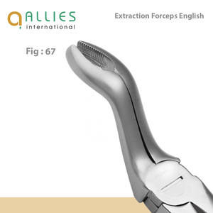 Fournisseur de forceps d'extraction dentaire ODM, instruments chirurgicaux en gros, forceps d'extraction dentaire de qualité supérieure - Product Image 2