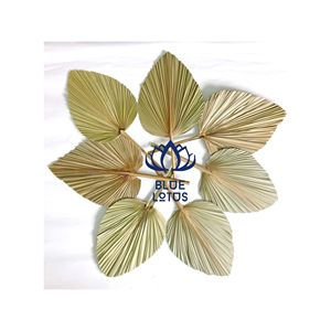 BEST SELLING BLUE LOTUS FARM Custom Logo Cut Stem Spear Dried Palm <b>Leaf</b> | Eco Friendly Premium Grade Boho <b>Decor</b> - Product Image 1