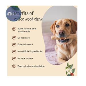 [MEJOR VENDIDO] |   Palos de Madera de Café Ecológicos para Masticar para Perros, Venta al por Mayor, Cuidado Dental para Mascotas, Juguete Interactivo de Limpieza, Vietnam - Product Image 1