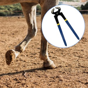Coupe-ongles professionnel pour sabots de cheval, outils de réparation de sabots, durables et faciles à utiliser - Product Image 1