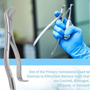 Nouvel arrivage : Forceps d'extraction dentaire manuels en acier inoxydable, certifiés CE, réutilisables, légers, haute qualité, très demandés - Product Image 5