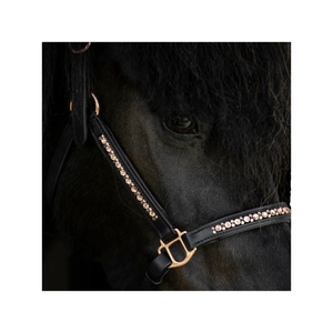 Rub International - Halter en cuir de haute qualité modèle 7860H avec chaîne à fixation thermique, taille et logo personnalisables pour l'équitation - Product Image 4