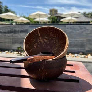 Tazón de Coco Hecho a Mano de Primera Calidad de 13-14 cm y Cuchara de Madera de Coco de 16 cm, Utensilios de Cocina Orgánicos Biodegradables, Proveedor Mayorista - Product Image 4