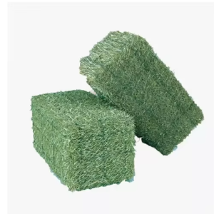 Foin d'alfalfa déshydraté pour l'alimentation animale, riche en protéines et en minéraux naturels, fournissant un foin d'alfalfa de qualité supérieure pour le bétail - Product Image 1