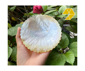จานเปลือกหอยมุกธรรมชาติขัดเงาเป็นมิตรกับสิ่งแวดล้อม ลายดอกไม้สลักขอบ ประกายเงางาม สำหรับตกแต่งร้านอาหาร ปี 2026 - Product Image 6