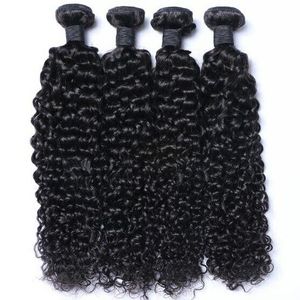 Extensions de cheveux humains bouclés crépus Remy, style noir doux, 3 paquets - Product Image 2
