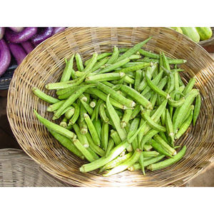 Okra Verde Fresca Natural de Calidad de Exportación, Okra Lady Finger para Mercados Mayoristas de Alimentos - Product Image 6