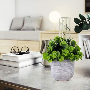 Simpatiche Piante Artificiali di Lysimachia, Fiori Finti e Vegetazione in Vaso di Ceramica per Decorazione Casa, Ufficio, Tavolo, Scrivania, Soggiorno - Product Image 4