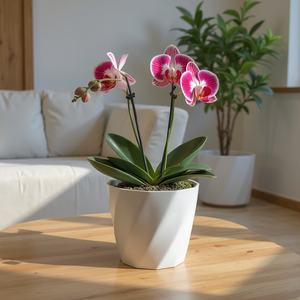 Tabletop <b>Plastic</b> Flower <b>Pot</b> Decorative and Lightweight Planter for Indoor <b>Plants</b> and Home Decor - Product Image 1