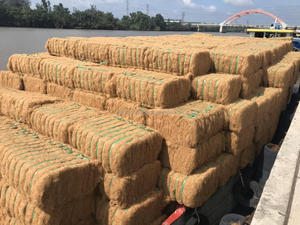 Fibra de Coco Cruda 100% Natural y Ecológica (Por Kg) para Uso Doméstico y Plantación de Árboles, Origen Vietnam, Alta Calidad - Product Image 6