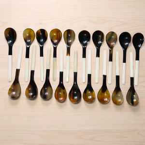 Petite cuillère artisanale en corne avec manche en os 16 cm, cuillère de table naturelle au meilleur prix - Product Image 1