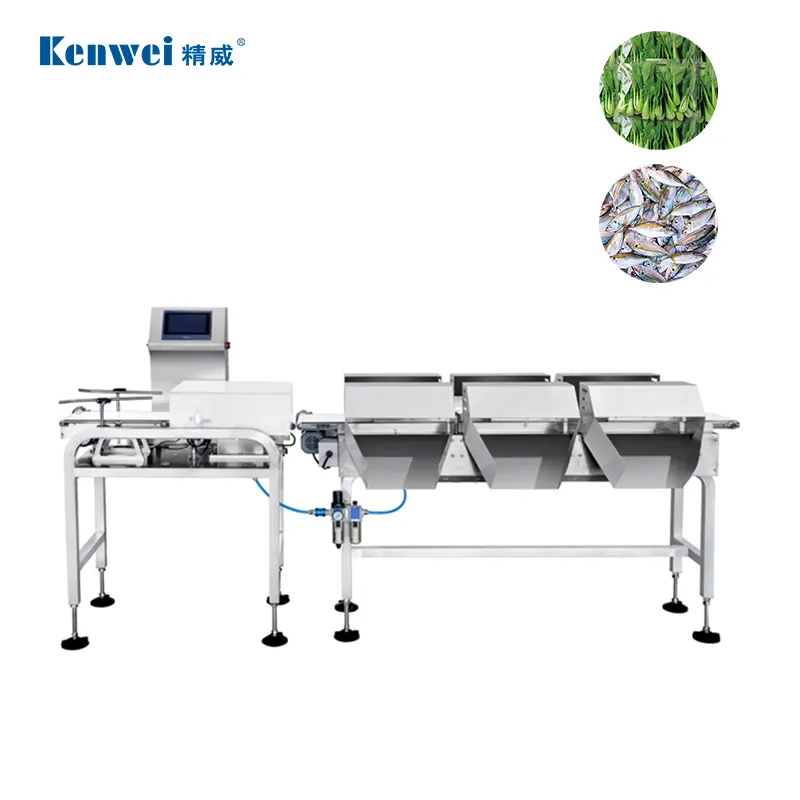 Automatic High Speed High Precision check weigher food Online Weight Check Machine