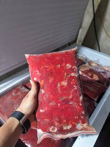 Pulpe de fruit de Gac congelée du Vietnam, couleur rouge naturelle, qualité export en vrac - Mme Tarina - Product Image 5