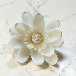 VADEE SOLA WOOD FLOWER Ocean Teal Garden Rose <b>Diffuser</b> Sola Wood Flowers Sustainable Craft Handmade Sesbania <b>Reed</b> Home Fragrance - Product Image 2
