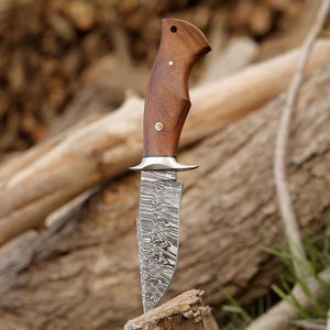 Couteau de chasse en acier Damas forgé à la main avec manche en bois pour la survie en plein air, lame en acier Damas, couteaux de camping, de pêche et de chasse - Product Image 1