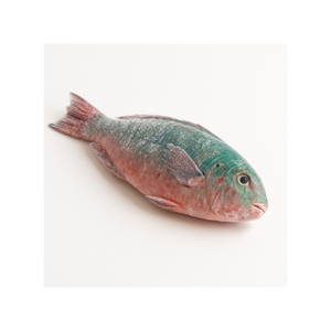 Low price frozen parrot fish high quality fish portion prepared for <b>large</b> volume shipment and fast delivery - Product Image 2