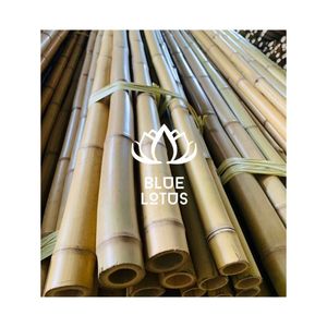 Poteau en bambou écologique, très demandé |   Canne en bambou naturel traité, fabriquée à la main, export en vrac - Product Image 1