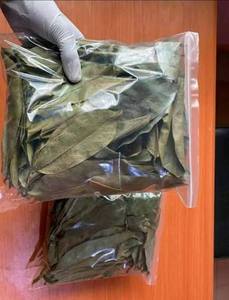 Dried Soursop Graviola Black <b>Tea</b> Premium Natural Bulk Export Vietnam Organic Non Sugar Grade 25 <b>Tea</b> Bags/<b>Box</b> Vacuum Packaging - Product Image 5